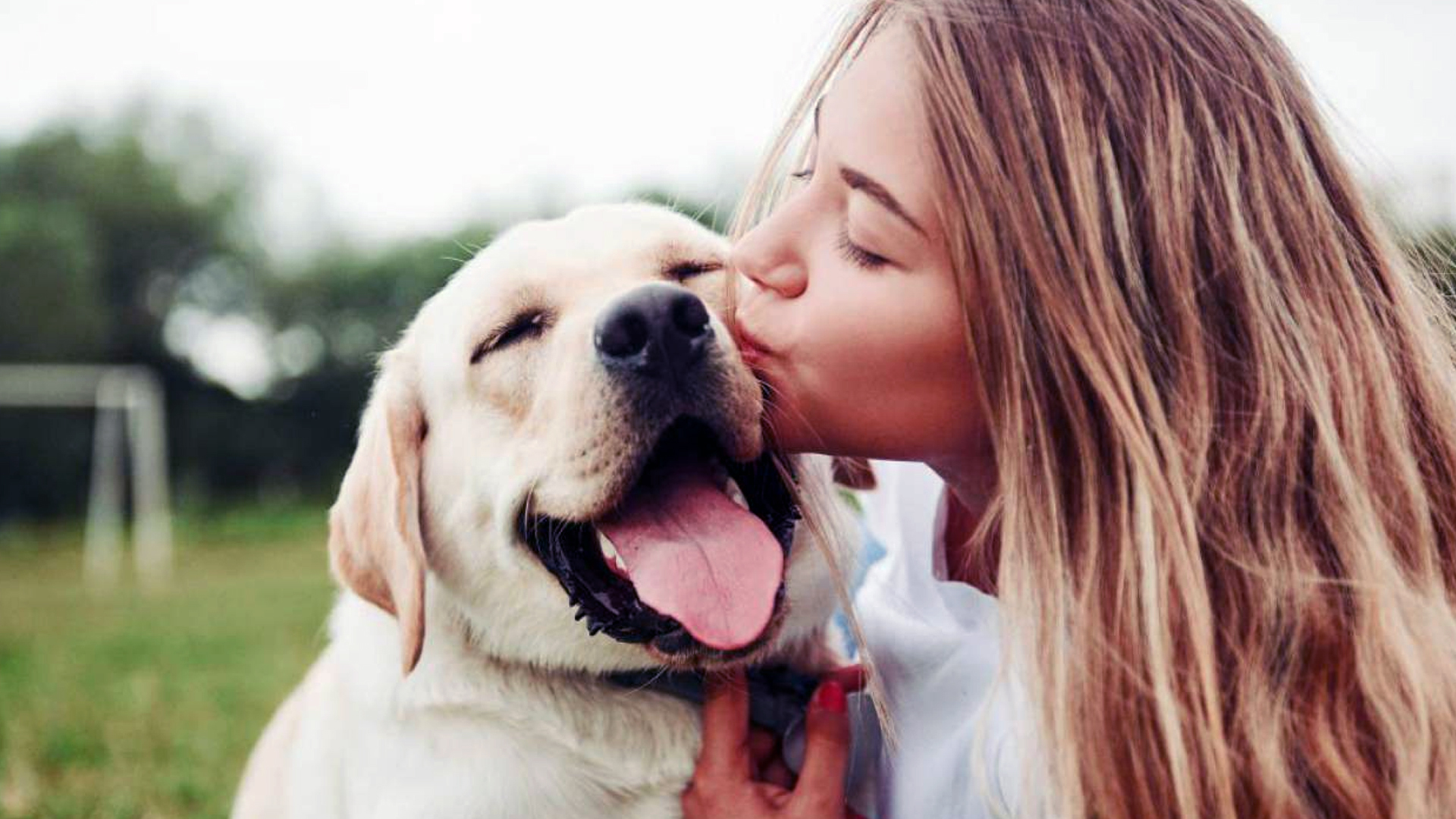 Tu perro mejora tu salud mental pero no es (solo) el afecto, el secreto está en su boca y la tuya