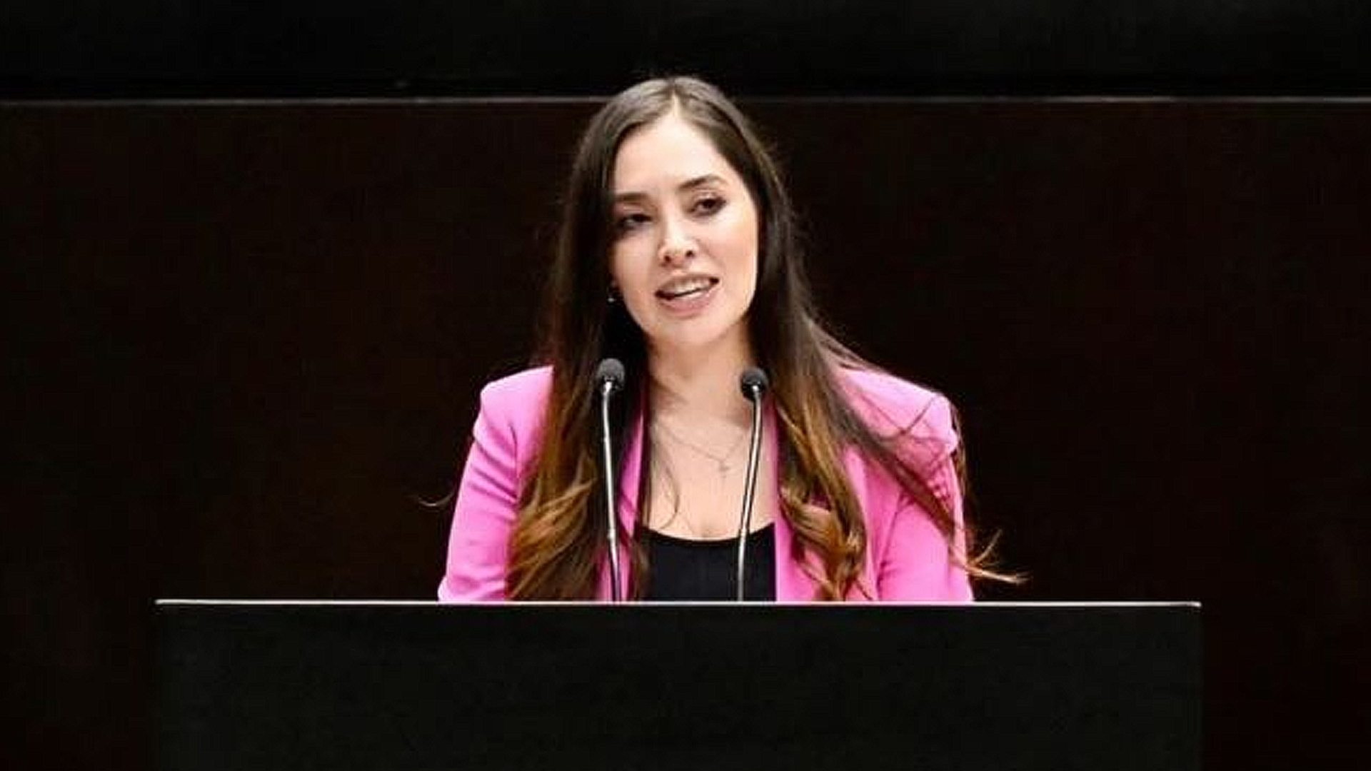 Denuncia diputada Fuensanta Guerrero poca inversión e ineficacia para atender la depresión